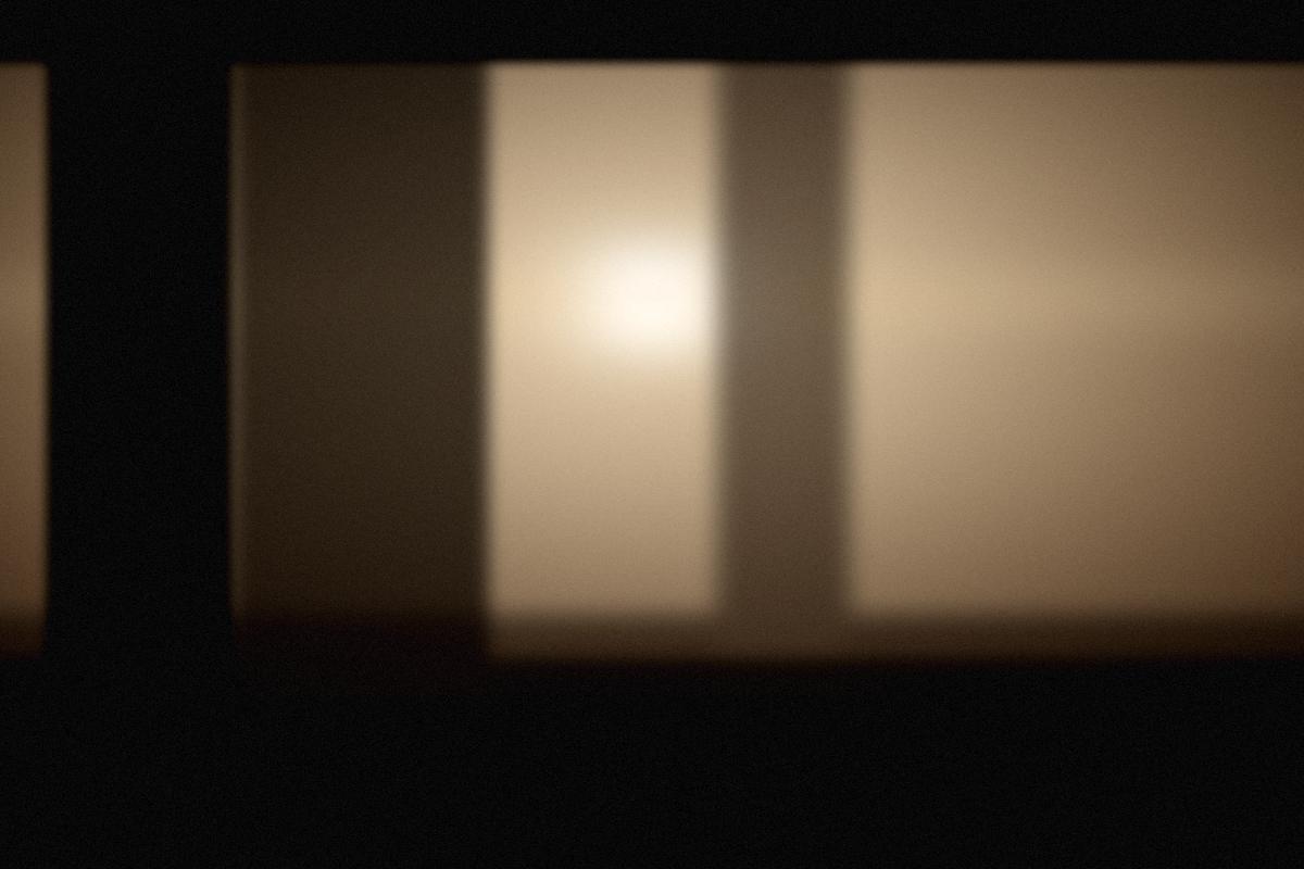 Morning light through the windows of a working roastery.
